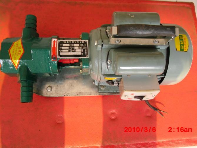 WCB微型不銹鋼齒輪油泵圖片