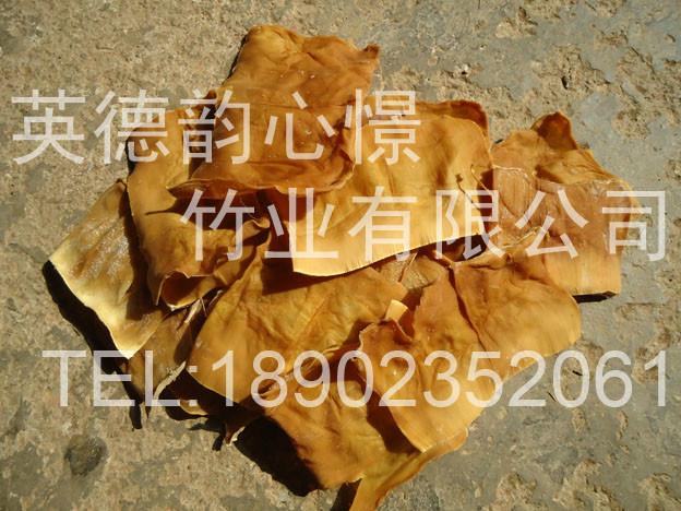 菜中珍品川粤菜百搭爽口食材竹笋制品腌制笋