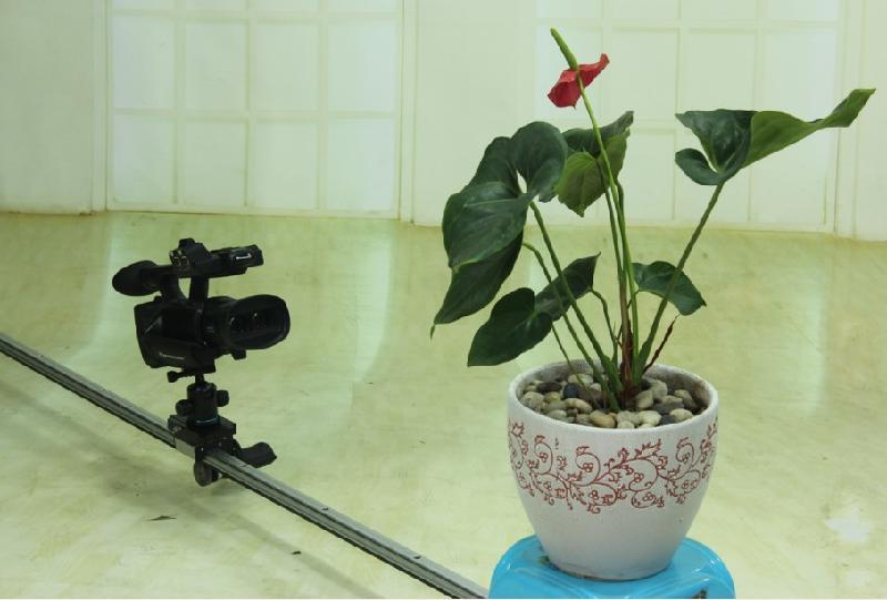 供應(yīng)【桌面微型電動(dòng)軌道】 手動(dòng)攝像軌道直銷 手動(dòng)軌道價(jià)格