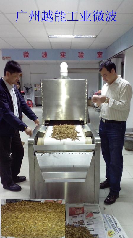 供應(yīng)廣州微波黨參干燥設(shè)備廠家