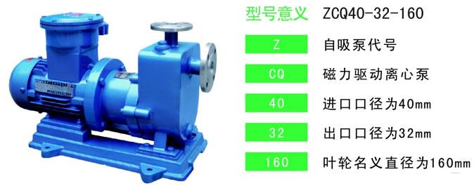 ZCQ型自吸式磁力泵图片