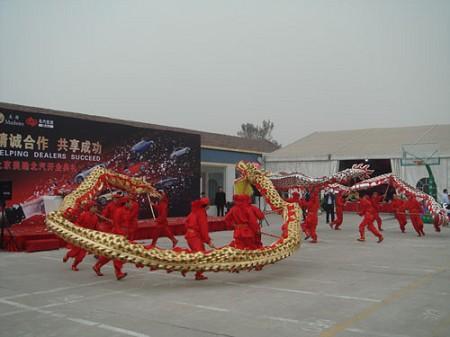 深圳市深圳醒狮队舞子表演厂家供应深圳醒狮队舞子表演