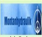 Montanhydraulik气缸