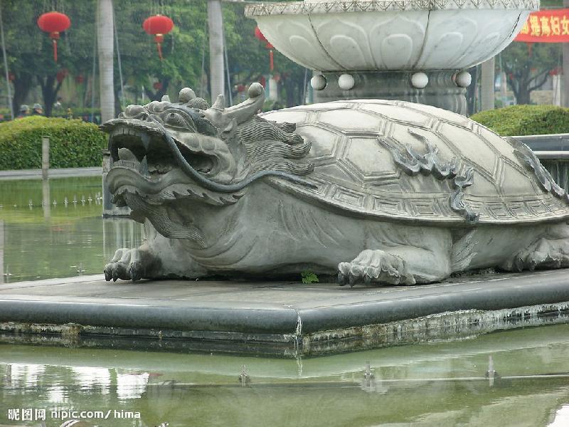 供應(yīng)長壽龜?shù)袼?  src=