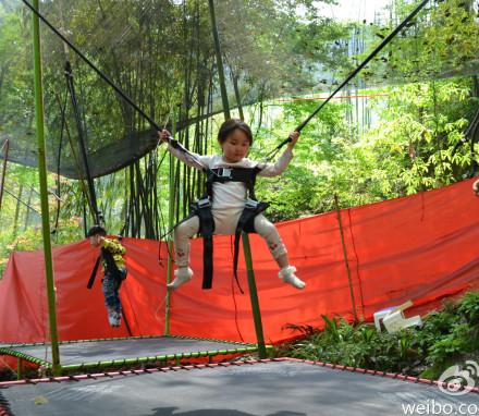 供应儿童蹦极跳床机器人拉车毛绒动物电瓶车图片