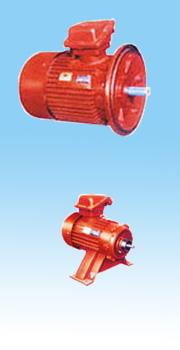 供應(yīng)防爆電機(jī)大速