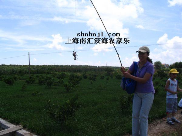 上海市上海周边农家乐国庆一日游厂家