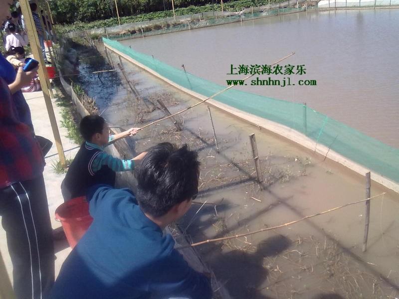 上海市上海农家乐哪里好玩又富野趣厂家供应上海农家乐哪里好玩又富野趣