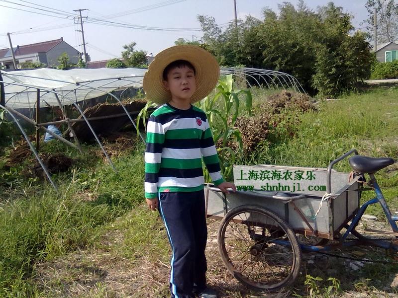 供应上海周边有哪些农家乐 野生动物园 滴水湖图片