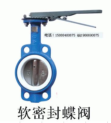 四氟蝶閥-溫州源科閥門圖片