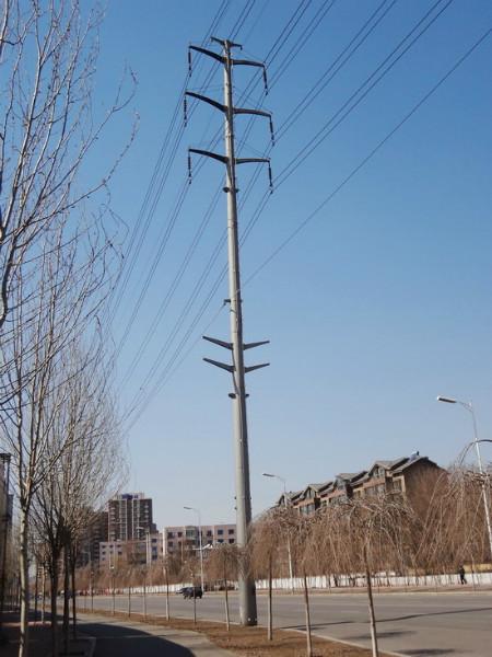供應(yīng)沈陽精創(chuàng)內(nèi)蒙古黑龍江電力桿