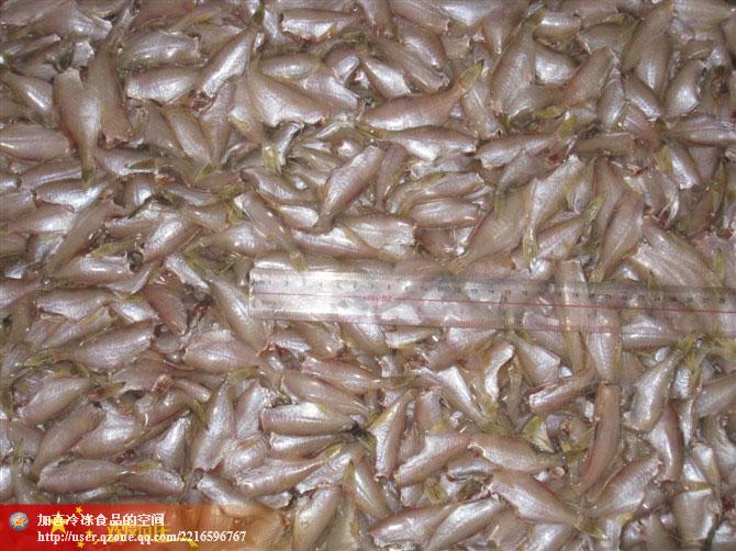 供應(yīng)北部灣海域產(chǎn)小規(guī)格馬面魚