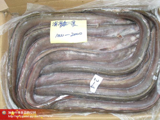 供應(yīng)凍海鰻