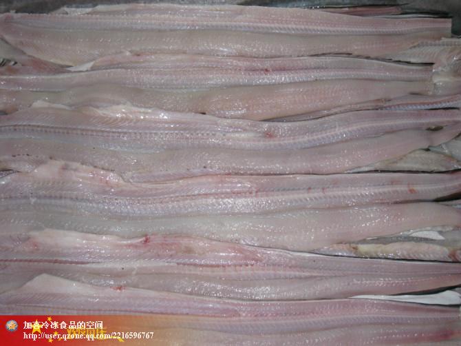 供應(yīng)凍三去海鰻片