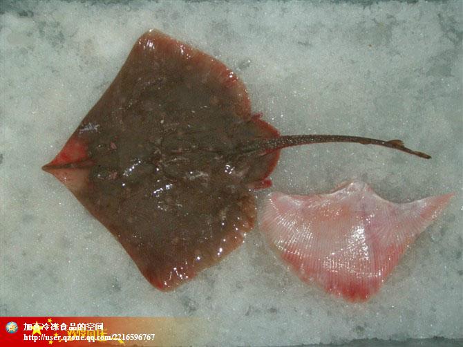 供應(yīng)北部灣海域產(chǎn)鰩魚片