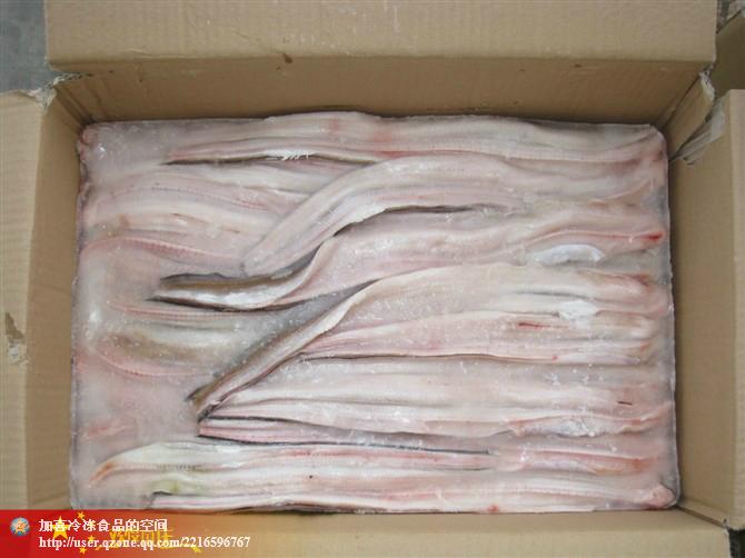 供應(yīng)凍三去海鰻片
