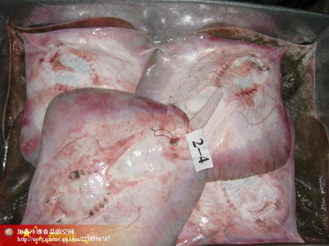 供應(yīng)北部灣海域產(chǎn)美鰩魚