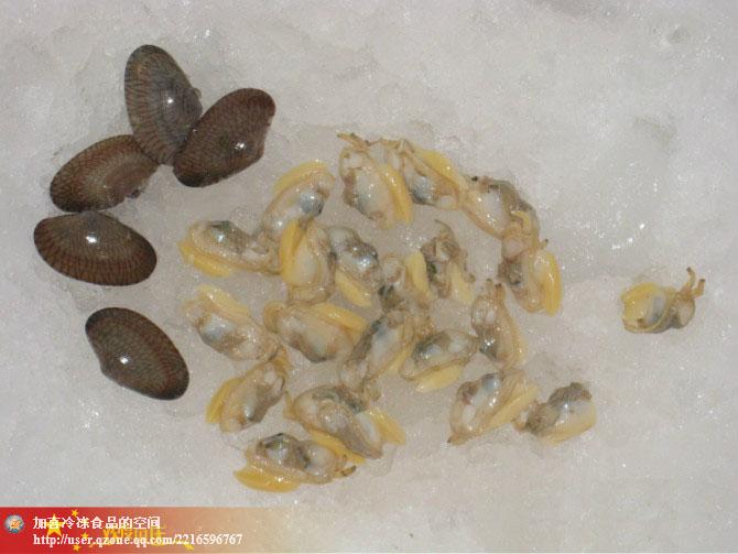 供應北部灣海域產(chǎn)花蛤肉花甲螺肉