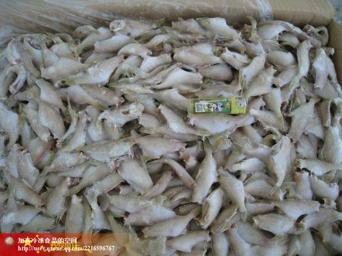 供應(yīng)北部灣海域產(chǎn)小規(guī)格馬面魚