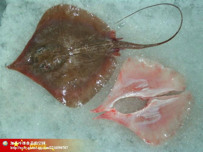供應(yīng)北部灣海域產(chǎn)鰩魚片