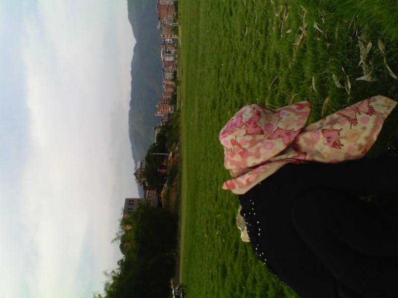 供應(yīng)福建福州草坪保質(zhì)保量