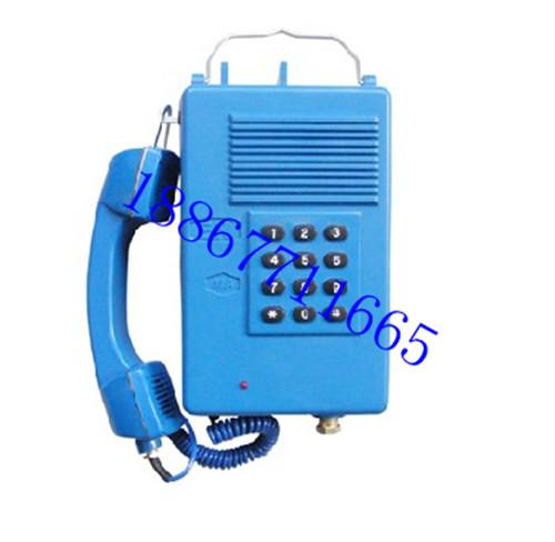 礦井用防腐防爆電話機(jī)圖片