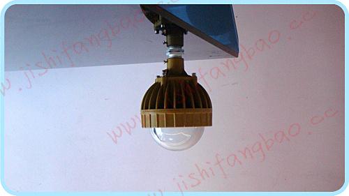 供應(yīng)隔爆型防爆平臺燈