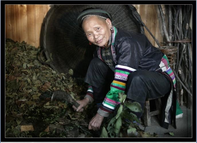 供應哈尼藥浴養(yǎng)宮*中草藥粉2017新品包郵