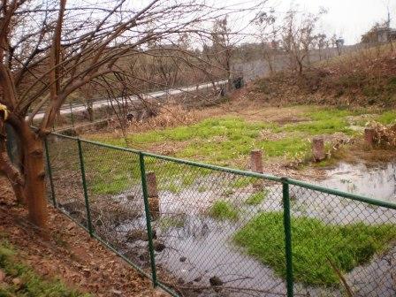 衡水市池塘四周用防护网铁丝网围栏隔离厂家