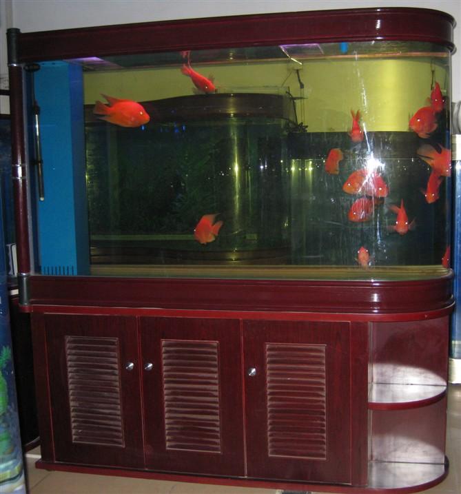 清洗魚缸圖片/清洗魚缸樣板圖 (4)