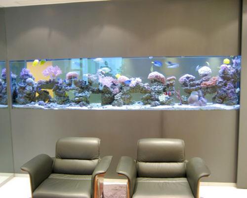 供應(yīng)廣州定做魚缸公司