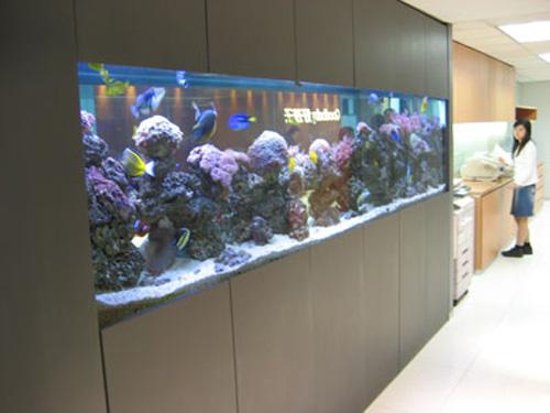 魚缸生產(chǎn)廠家圖片/魚缸生產(chǎn)廠家樣板圖 (2)