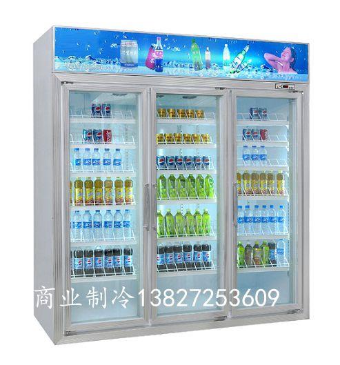 海南椰子圖片/海南椰子樣板圖 (3)