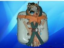 AHG-4四小時(shí)氧氣呼吸器圖片