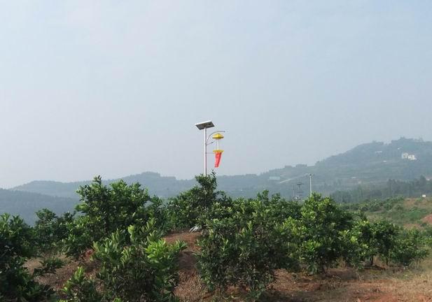 供应重庆贵州湖南湖北陕西太阳能杀虫灯图片