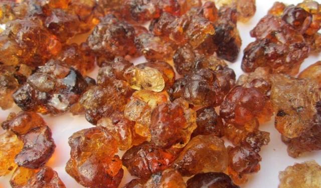 批發(fā)桃膠圖片