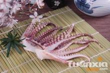 供應(yīng)進(jìn)口冷凍干鮮魷魚魷魚干魷魚須