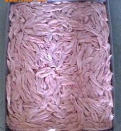 供應冷凍食品鴨頭鴨翅鴨脖