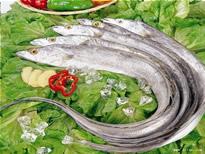 供應(yīng)進(jìn)口冷凍干鮮帶魚(yú)