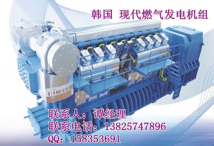 750轉(zhuǎn)低速韓國(guó)現(xiàn)代燃?xì)獍l(fā)電機(jī)組