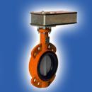 供應(yīng)大連博力謀彈簧復(fù)位執(zhí)行器