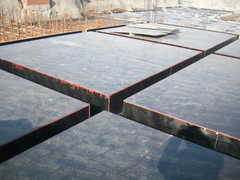 供應(yīng)二次成型18厘楊木芯棕膜建筑模板