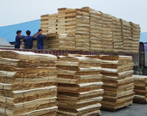 供應建筑模板公司，山東建筑模板廠家，臨沂建筑模板供應商