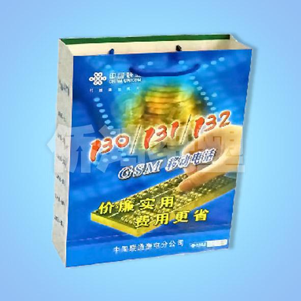 供應(yīng)各種工藝類型紙袋006價(jià)格實(shí)惠