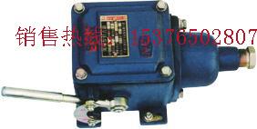 供應(yīng)礦用隔爆型打點(diǎn)器63S1-127打點(diǎn)器