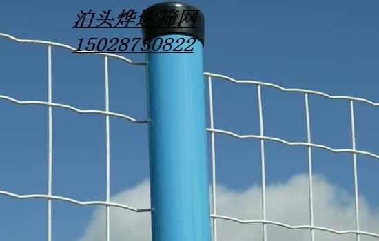 荷蘭網(wǎng)圖片