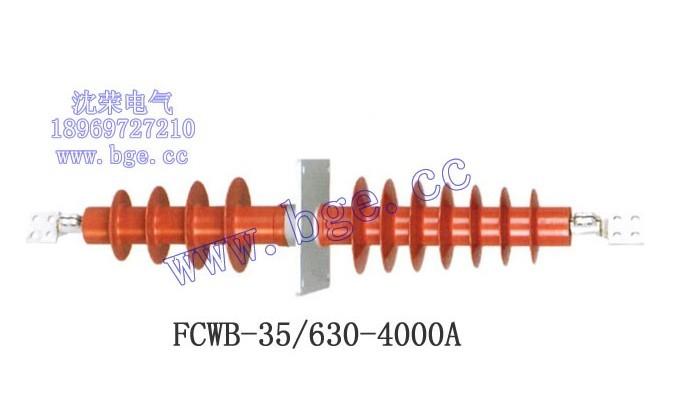 供应FCWB-24/1000A，FCWB-24/630A