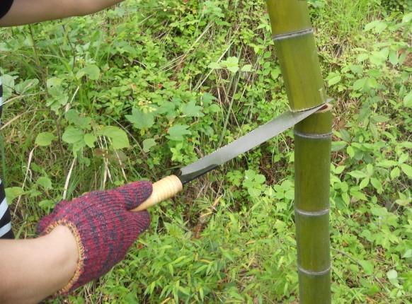 供應C-801毛竹鋸生產供應