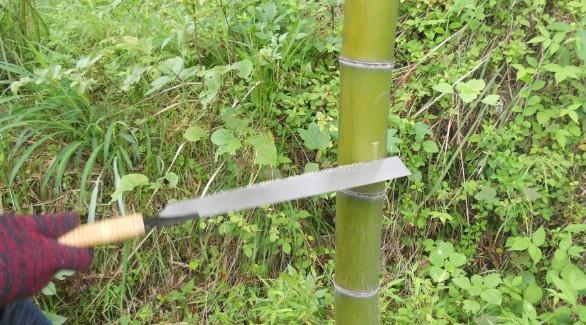 供應C-801毛竹鋸生產供應