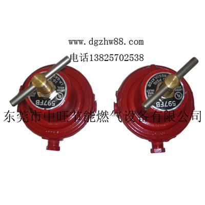 供應(yīng)燃?xì)鈿饣鳜F(xiàn)場(chǎng)安裝實(shí)例 小型號(hào)液化氣氣化器現(xiàn)場(chǎng)安裝實(shí)例